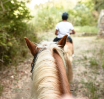 01-horse-riding-activities-in-riviera-olympia-luxury-resort